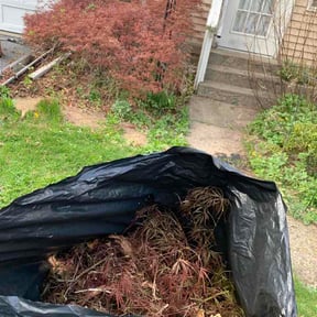 Bush Trimming by Supreme Green conserves reviewed on April 23, 2026