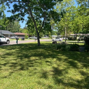 Leaf Removal by  reviewed on January 13, 2026