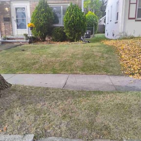 Bush Trimming by First Choice Lawn &amp; Landscape reviewed on November 23, 2025