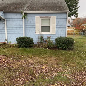 Bush Trimming by Gregory's lawn & landscape reviewed on August 15, 2025