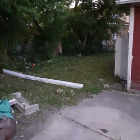 Bush Trimming by TARLY & SONS LAWNCARE reviewed on August 19, 2025