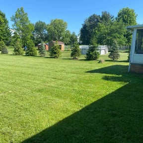 Long Grass Cleanup by Family Lawn Care reviewed on April 28, 2024