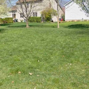 yard service by Bennett Lawn Care reviewed on November 26, 2025