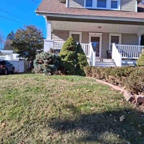 Leaf Removal by DrLawn reviewed on September 11, 2026