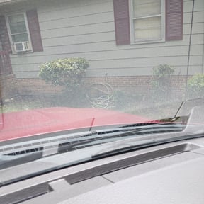 Bush Trimming by E-MACULATE LAWN CARE LLC reviewed on August 16, 2025