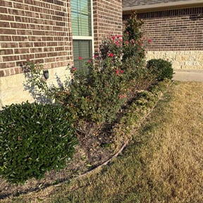 lawn care services by Blackamigollc reviewed on April 27, 2024