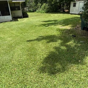 lawn maintenance by KingWay outdoor/inside lawn service, flowersbeds,pressure wash,painter reviewed on August 17, 2025