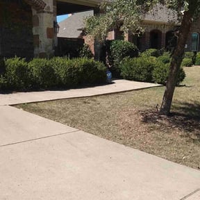 Bush Trimming by Stars and Stripes Landscape Design LLC reviewed on August 19, 2025