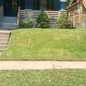 lawn care services by Lawn Kept reviewed on August 16, 2025