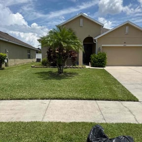Tree Trimming by Brown Cleaning Service LLC reviewed on August 15, 2025