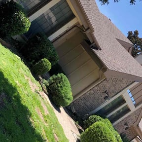 Bush Trimming by Birdsong Bee Company Lawn Service reviewed on August 19, 2025