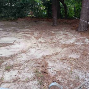 Leaf Removal by Mow Pro reviewed on November 10, 2025