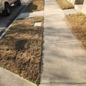 Leaf Removal by Alexito Landscaping reviewed on March 29, 2026