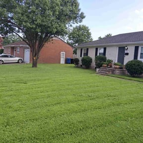 landscape maintenance by Daniel campos reviewed on November 23, 2025