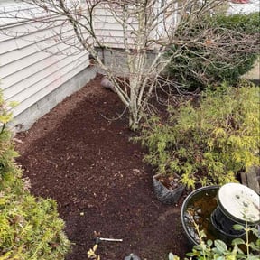 Leaf Removal by MJ Lawn reviewed on April 17, 2026