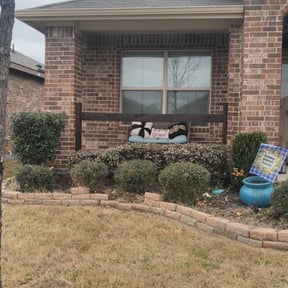 Bush Trimming by Green Goes landscaping reviewed on May 2, 2024