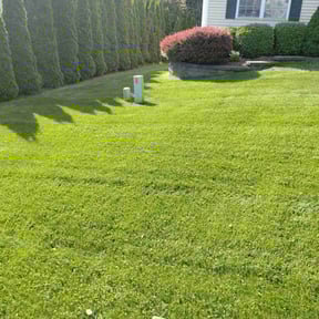 residential landscaping by Pete's Affordable Lawn Care reviewed on December 12, 2025