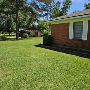 turf maintenance by Platinum Landscape reviewed on August 16, 2025