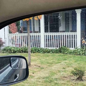 Flower Bed Weeding by Y&amp;R reviewed on November 20, 2025