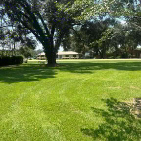 yard work by M.ade (make a difference everyday) reviewed on March 10, 2025