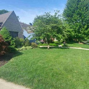 grass cutting by Trip reviewed on May 7, 2024