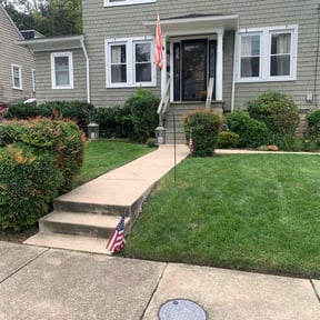 gardening service by Blue Dyamond Land Services LLC reviewed on December 10, 2025