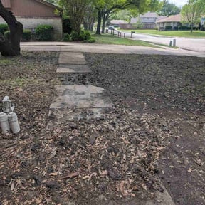 Leaf Removal by Stans lawn care reviewed on August 17, 2025