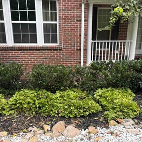 Bush Trimming by Pepe’s lawn care service reviewed on August 23, 2026