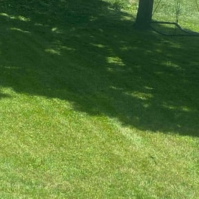 grass cutting by 66landscaping LLC reviewed on April 4, 2024