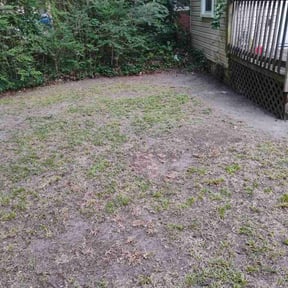 Leaf Removal by Wright's Lawn Co reviewed on August 20, 2026