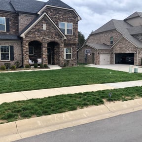 Bush Trimming by Cat's Landscaping reviewed on August 15, 2025