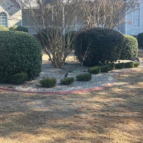 Lawn Mowing by  reviewed on August 10, 2024