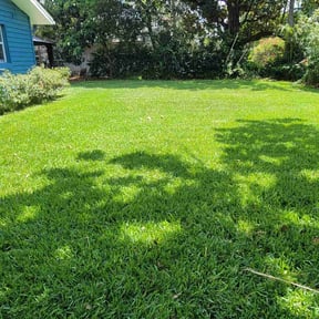 lawn maintenance by Bird lawn&amp;tree service reviewed on March 18, 2024