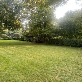 turf maintenance by Tayeb’s Lawn Care reviewed on September 18, 2023