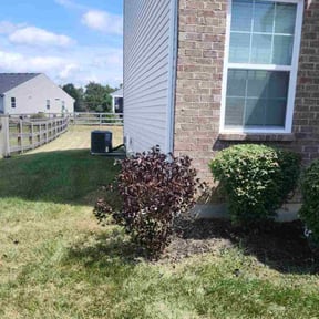 Bush Trimming by Brighter day outdoor services reviewed on October 19, 2025