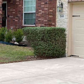 Bush Trimming by PJ’s Lawn care reviewed on August 16, 2025
