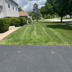 yard service by Flipmodedreadhead reviewed on November 30, 2025