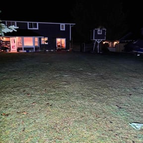 turf care by Rafael Navedo reviewed on September 30, 2024