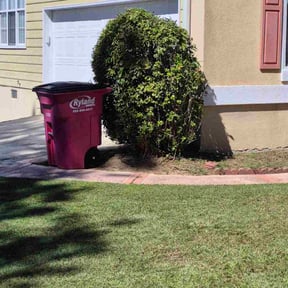 Bush Trimming by Green Gorilla Property Maintenance reviewed on November 6, 2025