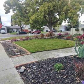 lawn maintenance by Scott's Landscape and pool service reviewed on June 13, 2025