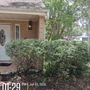 Bush Trimming by Royal Lawn and Landscape reviewed on May 31, 2026