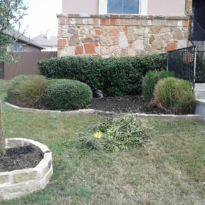 Bush Trimming by Green Looks reviewed on March 30, 2023