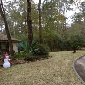 Bush Trimming by Emerald Green Lawn Service reviewed on November 9, 2017