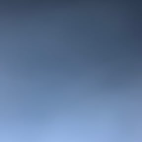 Bush Trimming by Youniversal Lawnscaping reviewed on September 28, 2023