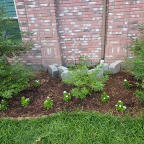 Flower Bed Weeding by Allentown lawn &amp; landscape reviewed on November 18, 2025