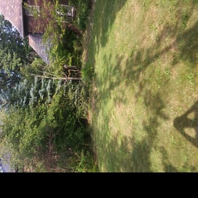 Bush Trimming by J’s Lawn Care reviewed on August 13, 2025