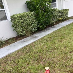 Bush Trimming by "It's Just Grass" , lawn care/landscaping reviewed on November 18, 2025