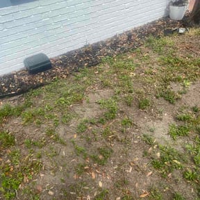 Flower Bed Weeding by JCB Lawn Service reviewed on March 13, 2026