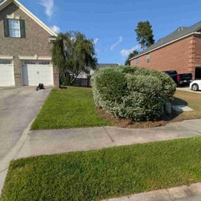 Bush Trimming by Lawn Jon Services reviewed on November 24, 2025