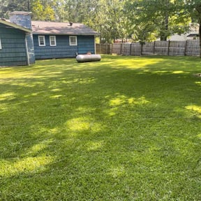 yard work by Scotton landscaping reviewed on August 15, 2025